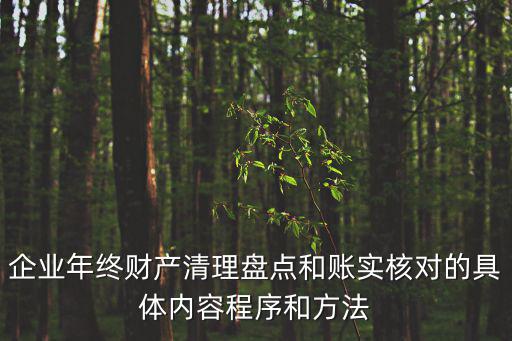 上海市資產清查核實，企業年終財產清理盤點和賬實核對的具體內容程序和方法