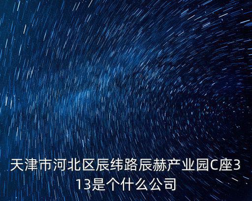 天津市河北區(qū)辰緯路辰赫產(chǎn)業(yè)園C座313是個(gè)什么公司