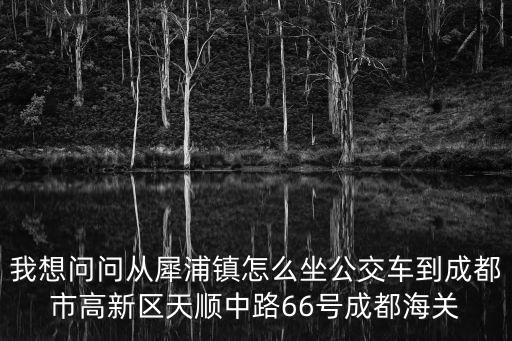 我想問問從犀浦鎮(zhèn)怎么坐公交車到成都市高新區(qū)天順中路66號成都海關(guān)
