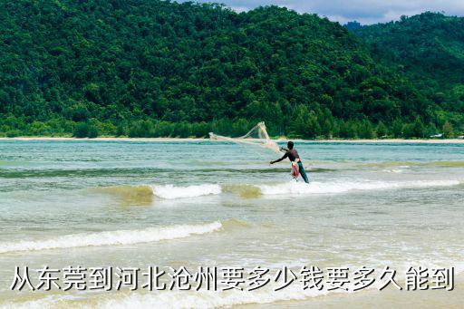 從東莞到河北滄州要多少錢要多久能到