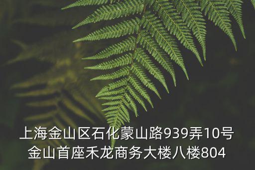 上海金山區石化蒙山路939弄10號金山首座禾龍商務大樓八樓804