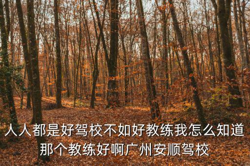人人都是好駕校不如好教練我怎么知道那個教練好啊廣州安順駕校
