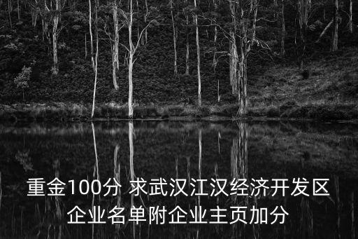 重金100分 求武漢江漢經濟開發區企業名單附企業主頁加分