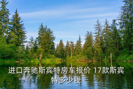 廣州9座斯賓特價格，奔馳進口斯賓特價格 斯賓特現車多少錢