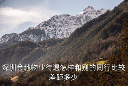 深圳金地物業待遇怎樣和別的同行比較差距多少