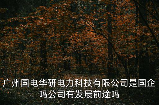 廣州國電華研電力科技有限公司是國企嗎公司有發展前途嗎