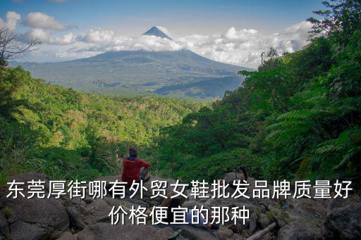 東莞厚街哪有外貿女鞋批發品牌質量好價格便宜的那種