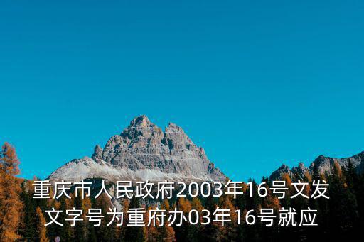 重慶市政府信息公開格式，重慶市人民政府2003年16號文發文字號為重府辦03年16號就應