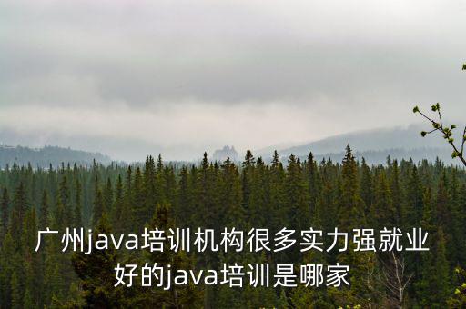 廣州java培訓機構很多實力強就業好的java培訓是哪家