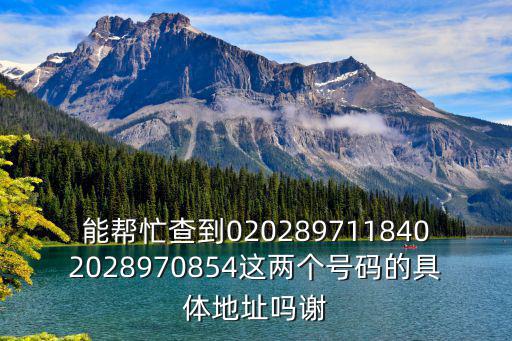 能幫忙查到0202897118402028970854這兩個號碼的具體地址嗎謝