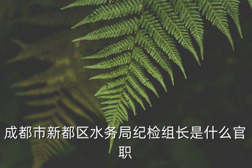 成都市新都區水務局紀檢組長是什么官職