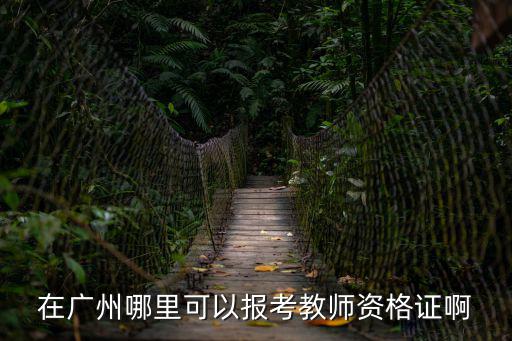 在廣州哪里可以報考教師資格證啊