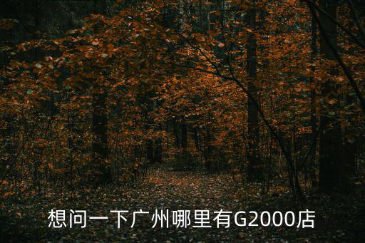 想問一下廣州哪里有G2000店