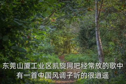 東莞山廈工業(yè)區(qū)凱旋網吧經常放的歌中有一首中國風調子聽的很逍遙