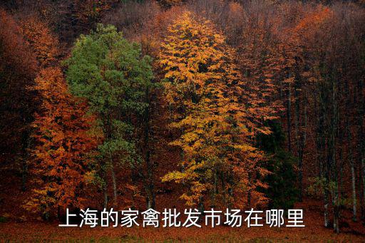 上海市禽類交易網，上海的家禽批發市場在哪里