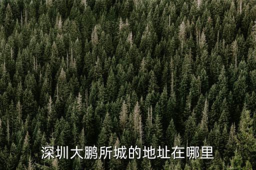 深圳大鵬所城的地址在哪里