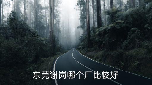 東莞謝崗哪個廠比較好