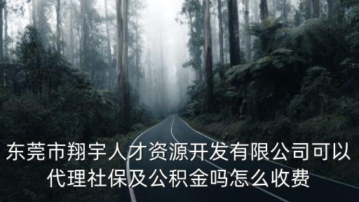 東莞市翔宇人才資源開(kāi)發(fā)有限公司可以代理社保及公積金嗎怎么收費(fèi)