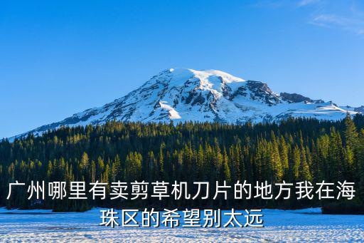 廣州哪里有賣剪草機(jī)刀片的地方我在海珠區(qū)的希望別太遠(yuǎn)