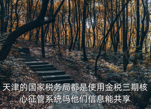 天津的國家稅務(wù)局都是使用金稅三期核心征管系統(tǒng)嗎他們信息能共享