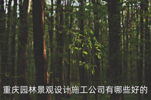 重慶園林景觀設(shè)計施工公司有哪些好的