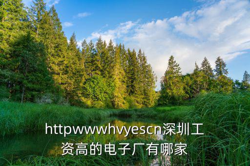 深圳市新東訊電子有限公司，httpwwwhvyescn深圳工資高的電子廠有哪家