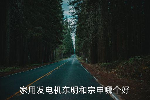 深圳市東明電機，東明發電機不發電怎么回事