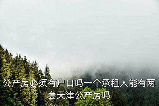 公產(chǎn)房必須有戶口嗎一個承租人能有兩套天津公產(chǎn)房嗎
