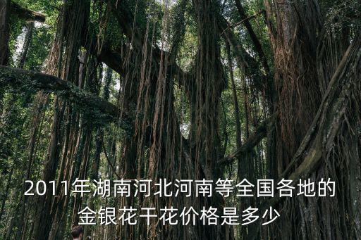 2011年湖南河北河南等全國各地的金銀花干花價格是多少