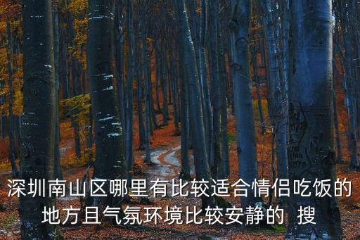 深圳南山區(qū)哪里有比較適合情侶吃飯的地方且氣氛環(huán)境比較安靜的  搜
