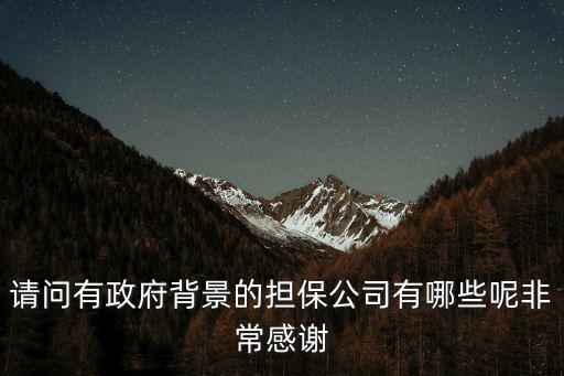 請問有政府背景的擔保公司有哪些呢非常感謝