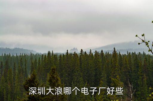 深圳大浪哪個電子廠好些