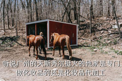 聽說廣州的天斯秀爾挺火的他家是專門做化妝品的還是化妝品代加工