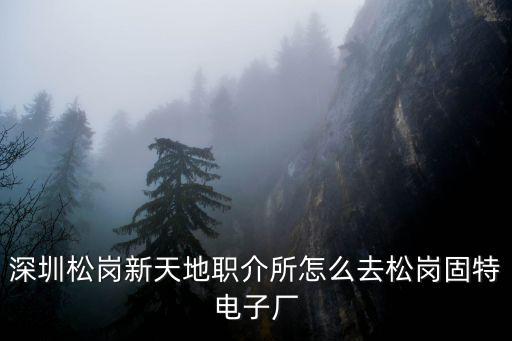 深圳松崗新天地職介所怎么去松崗固特電子廠