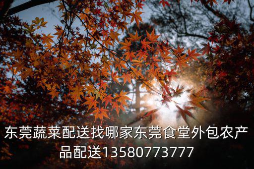 東莞蔬菜配送找哪家東莞食堂外包農(nóng)產(chǎn)品配送13580773777