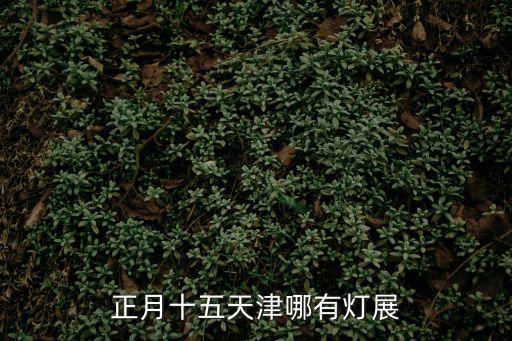 正月十五天津哪有燈展
