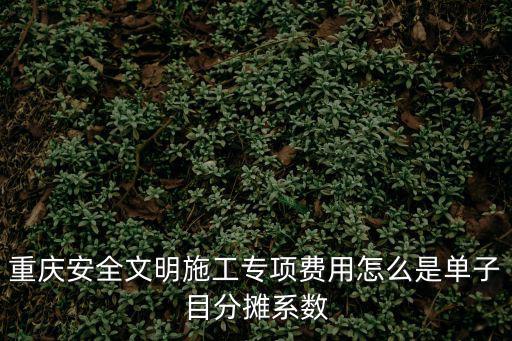 重慶安全文明施工專項費用怎么是單子目分攤系數(shù)