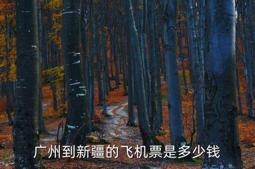 廣州 新疆 飛機(jī)，廣州到新疆飛機(jī)票多少錢