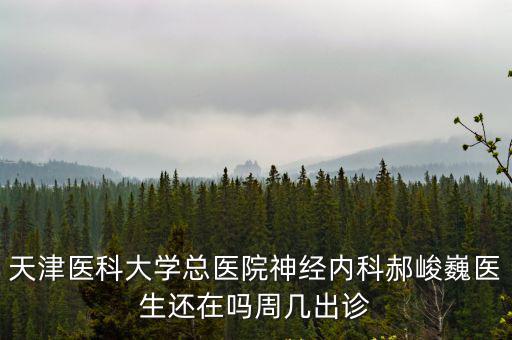 天津醫科大學總醫院神經內科郝峻巍醫生還在嗎周幾出診