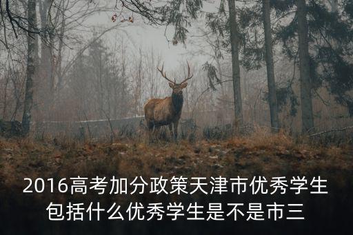 2016高考加分政策天津市優(yōu)秀學(xué)生包括什么優(yōu)秀學(xué)生是不是市三