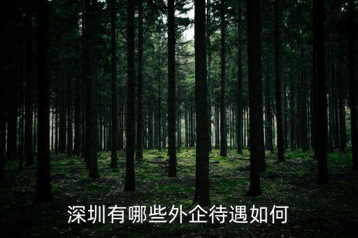 深圳有哪些外企待遇如何