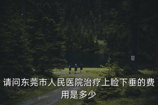 東莞市宏圖立嬌，在東莞長安夏邊發(fā)生的民事糾紛是不是在東莞市大嶺山第二人民法院去