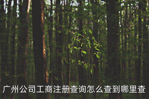 廣州公司工商注冊查詢怎么查到哪里查