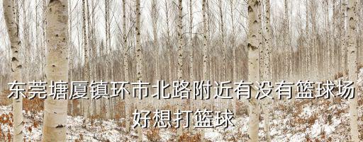 東莞圣荔園有籃球場嗎，東莞常平附近的籃球場說明具體位置怎么去