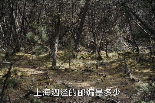 上海市泗祥路518弄郵編，上海泗涇的郵編是多少