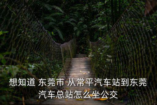 想知道 東莞市 從常平汽車站到東莞汽車總站怎么坐公交