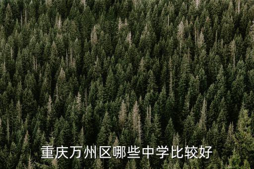 重慶萬(wàn)州區(qū)哪些中學(xué)比較好