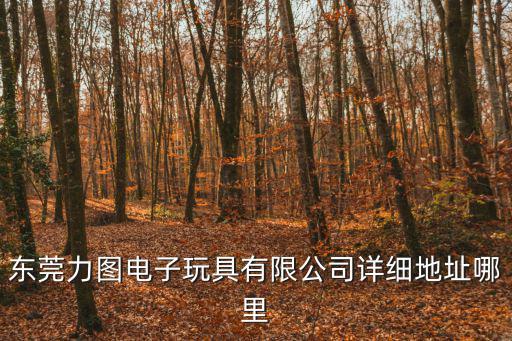東莞力圖電子玩具有限公司詳細地址哪里