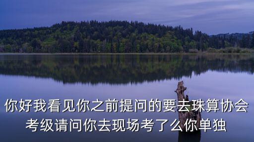 你好我看見你之前提問的要去珠算協會考級請問你去現場考了么你單獨