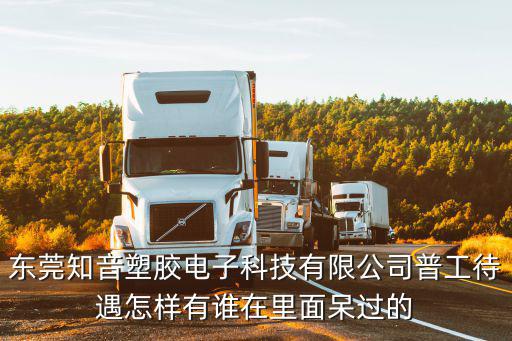 東莞升泰塑膠電子，東莞虎門有哪些電子公司是生產換向器的 家用電器